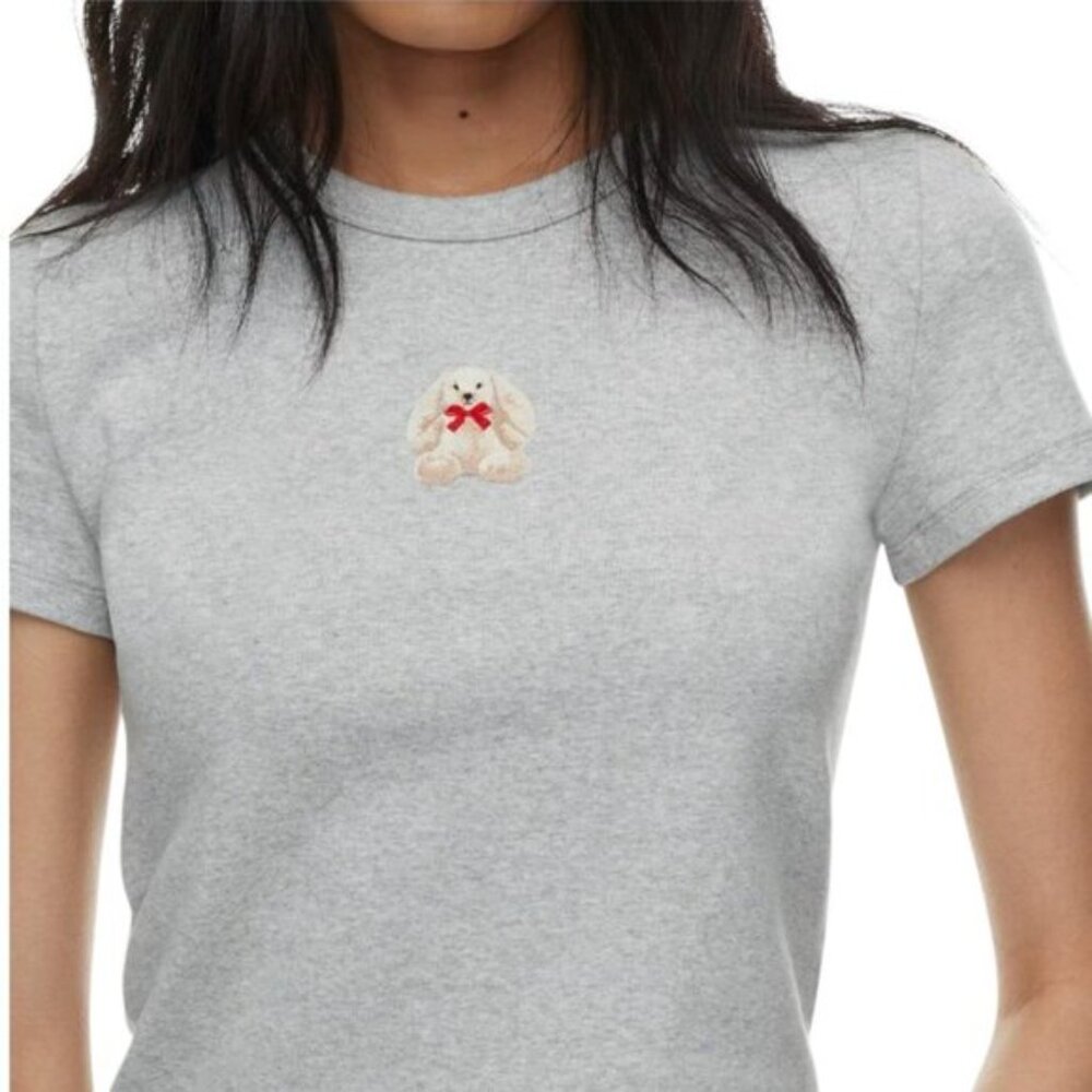 Aritzia Sunday Best Besthug™ Little Ribbed Grey T-shirt